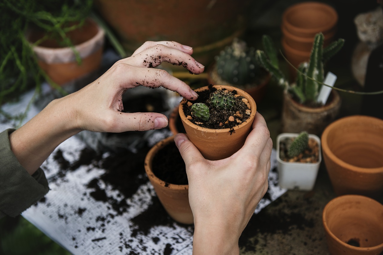 Conseil de jardinage